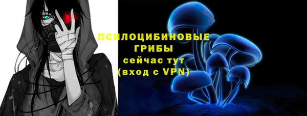 СК Белокуриха