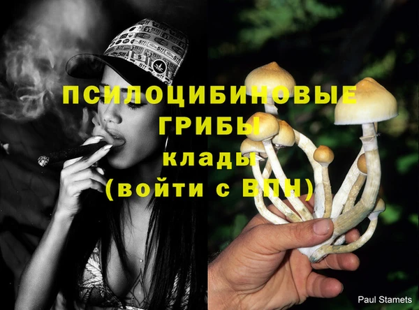 марихуана Беломорск